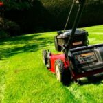 Césped verde gracias a un buen cuidado del cesped, mostrando el resultado de un buen mantenimiento y riego adecuado.